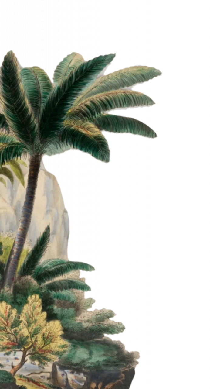 flamingo.webp
